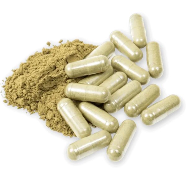 kratom koupit
